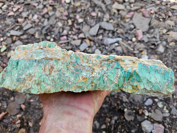 Premium Variscite rough. VRX101