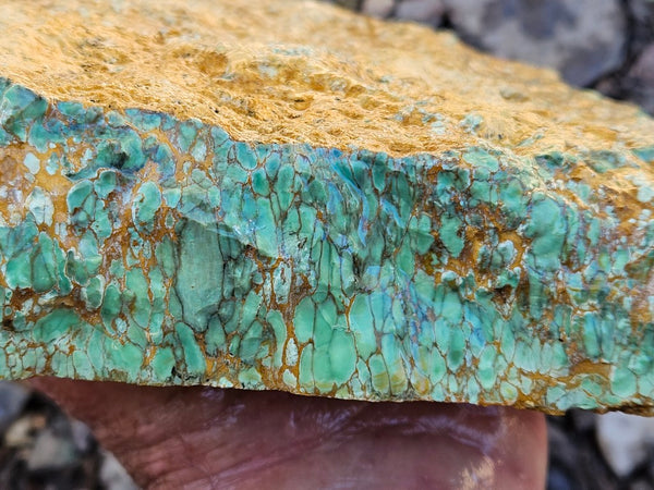 Premium Variscite rough. VRX101