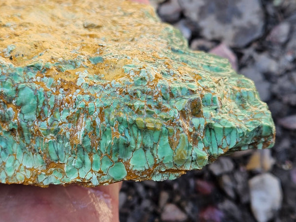 Premium Variscite rough. VRX101
