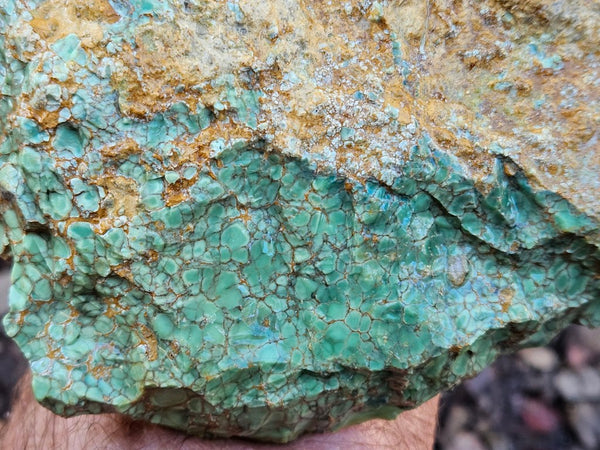 Premium Variscite rough. VRX101