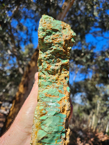 Premium Variscite rough. VRX101
