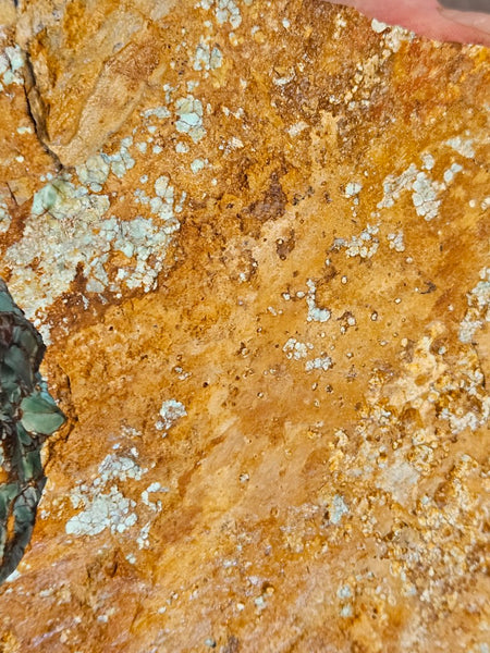 Premium Variscite rough. VRX101