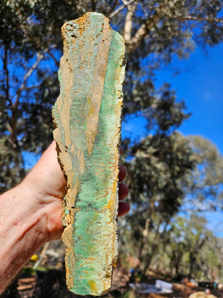 Premium Variscite rough. VRX103