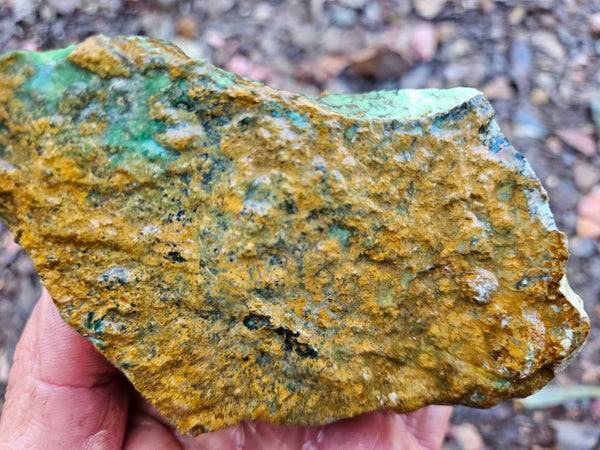Premium Variscite rough. VRX104