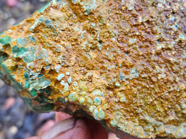 Premium Variscite rough. VRX104