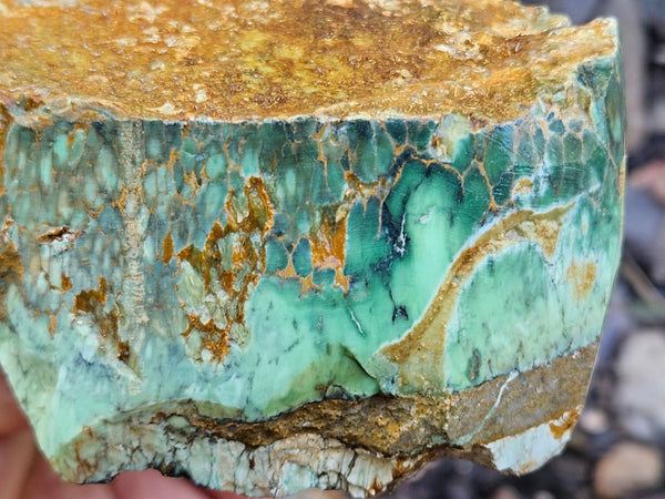 Premium Variscite rough. VRX104