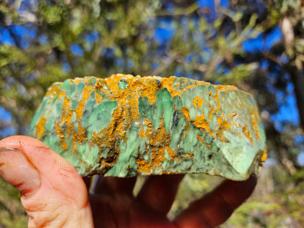 Premium Variscite rough. VRX104