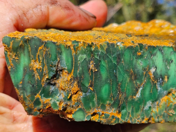 Premium Variscite rough. VRX104