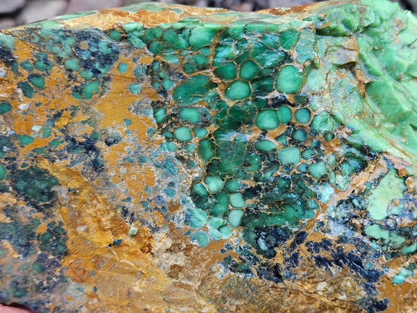 Premium Variscite rough. VRX105