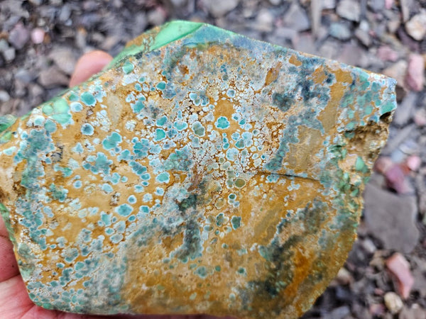 Premium Variscite rough. VRX106