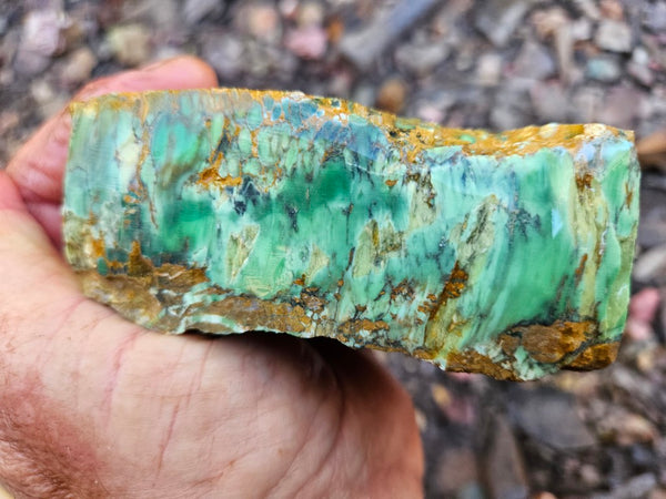 Premium Variscite rough. VRX106