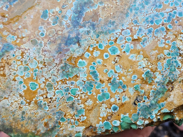 Premium Variscite rough. VRX106