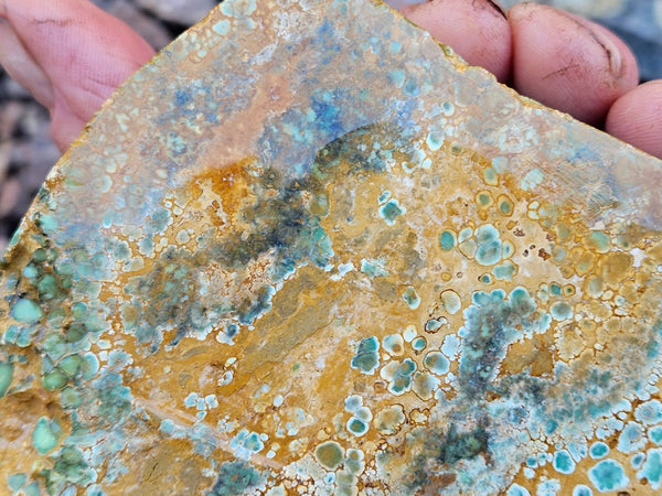 Premium Variscite rough. VRX106
