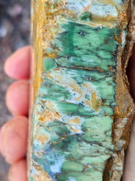 Premium Variscite rough. VRX106