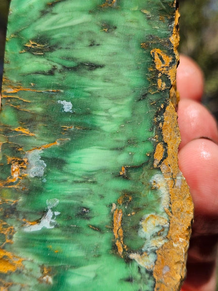 Premium Variscite rough. VRX106