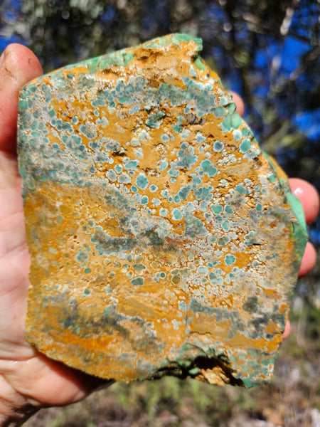 Premium Variscite rough. VRX106