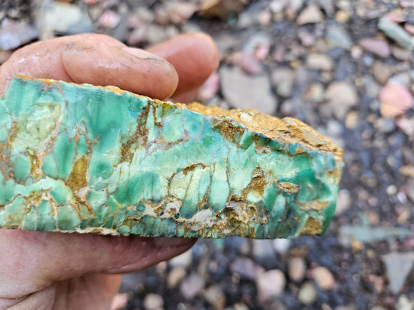 Premium Variscite rough. VRX107