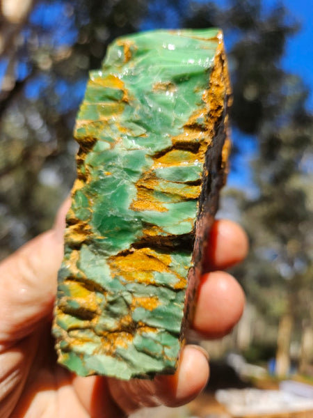 Premium Variscite rough. VRX107