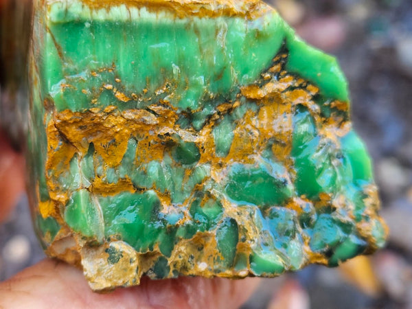 Premium Variscite rough. VRX108