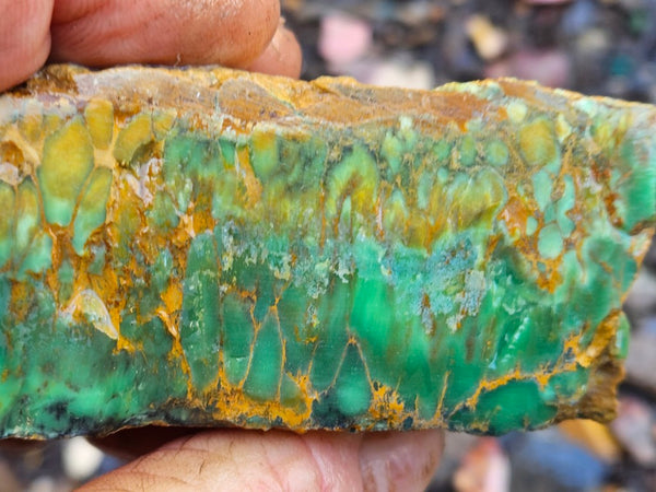 Premium Variscite rough. VRX108