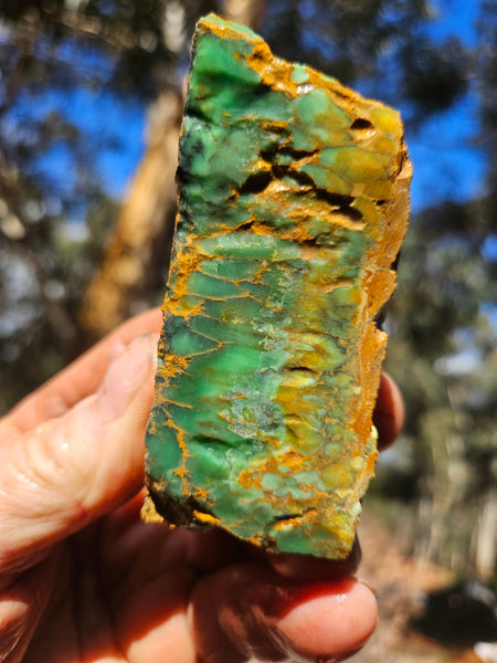 Premium Variscite rough. VRX108
