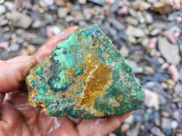 Variscite rough. Premium. VRX109