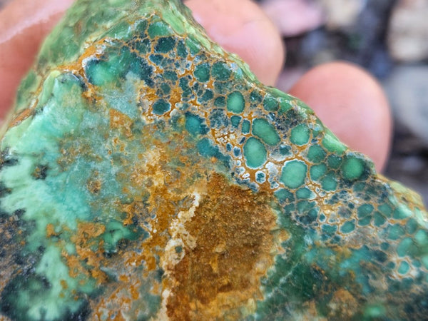 Variscite rough. Premium. VRX109