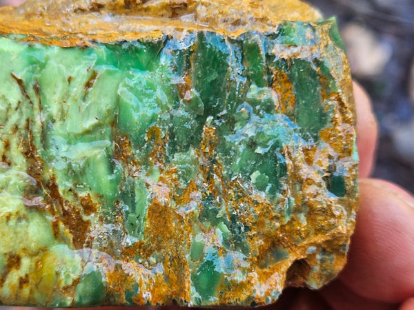 Variscite rough. Premium. VRX109