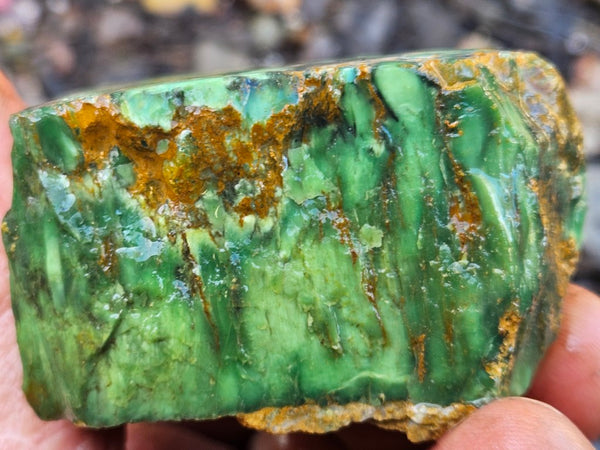 Variscite rough. Premium. VRX109