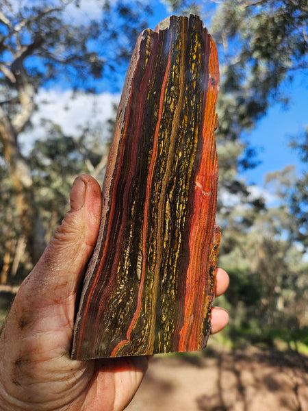 Polished Tiger Iron  TI379