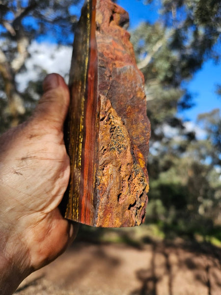 Polished Tiger Iron  TI379