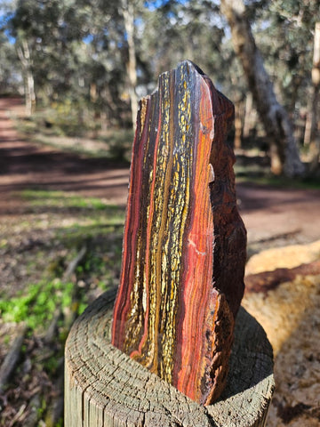 Polished Tiger Iron  TI379