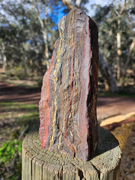 Polished Tiger Iron  TI379