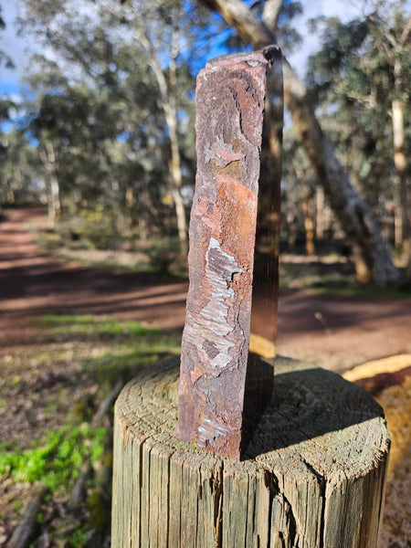 Polished Tiger Iron  TI379