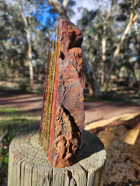 Polished Tiger Iron  TI379
