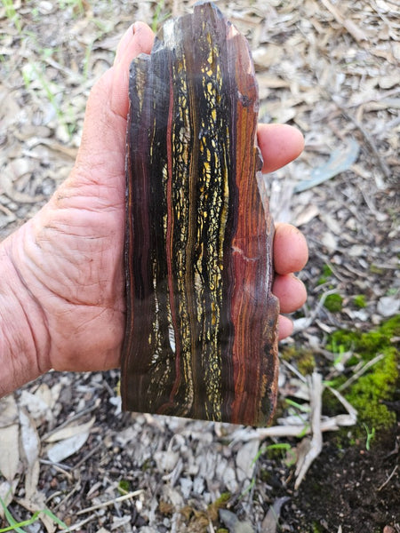 Polished Tiger Iron  TI379