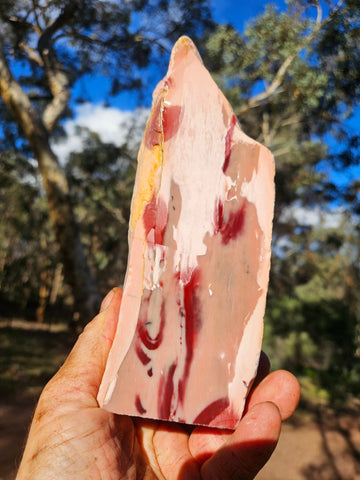 Polished Pink Opal  POP204