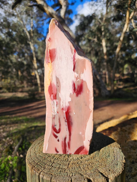 Polished Pink Opal  POP204
