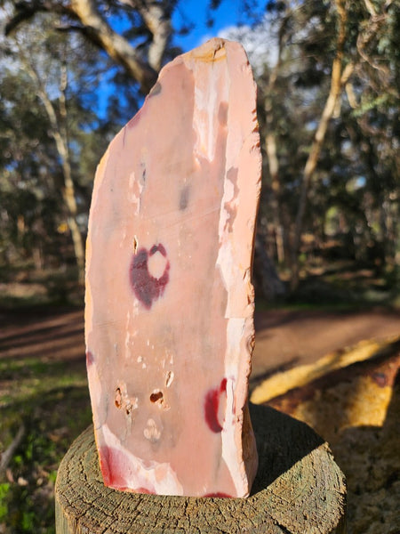 Polished Pink Opal  POP204