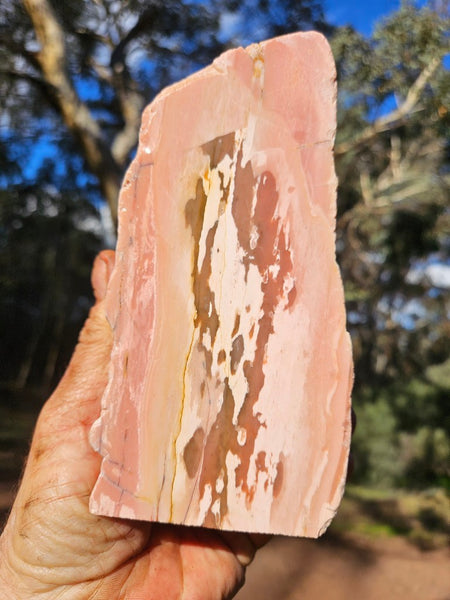 Polished Pink Opal  POP203