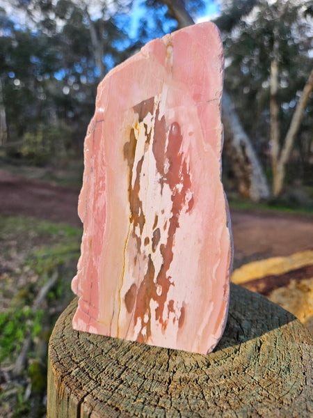 Polished Pink Opal  POP203