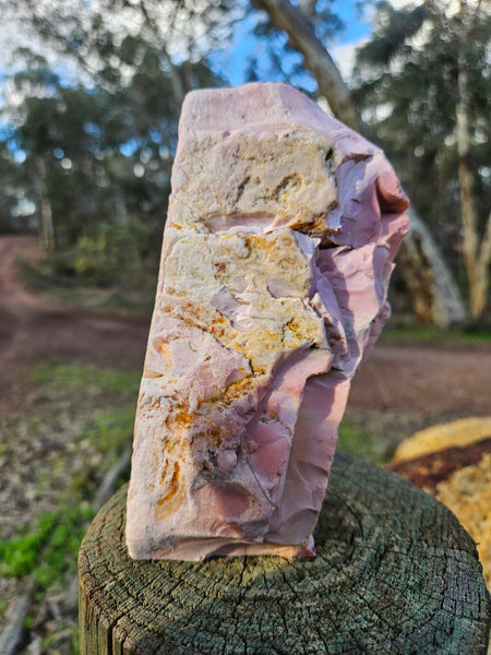 Polished Pink Opal  POP203