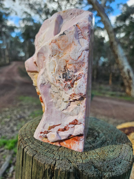 Polished Pink Opal  POP203
