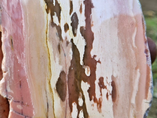 Polished Pink Opal  POP203