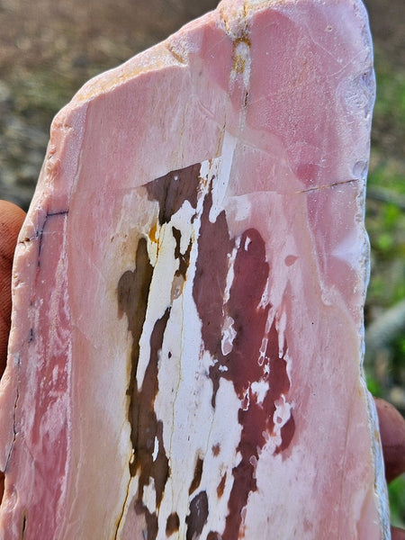 Polished Pink Opal  POP203