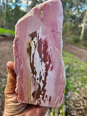 Polished Pink Opal  POP203