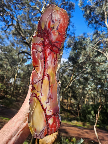 Polished Mookaite  MK551