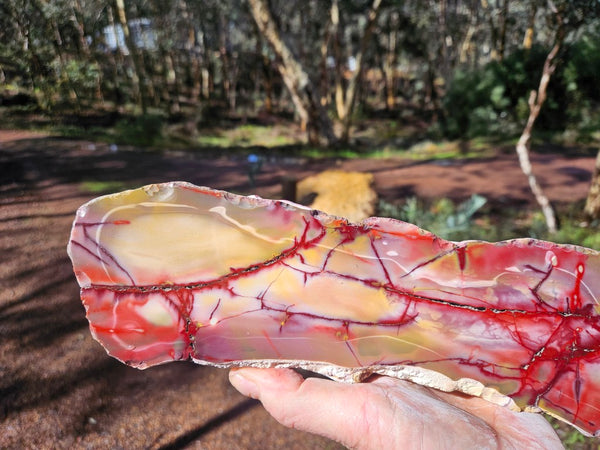 Polished Mookaite  MK551