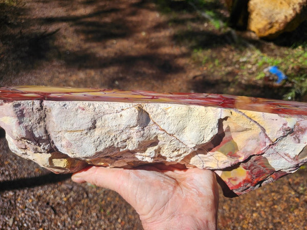 Polished Mookaite  MK551