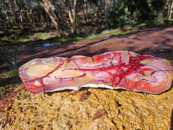 Polished Mookaite  MK551
